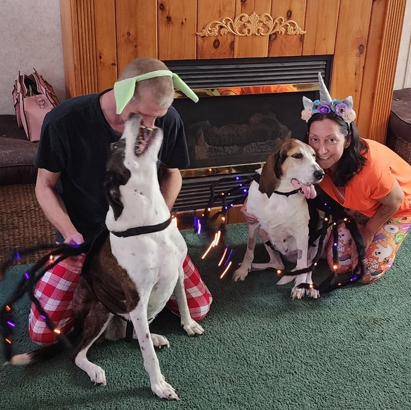 $30 SALE🛍️ HP🎉 48 Colorful LED Spider Costume XL NWOT - Picture 9 of 12